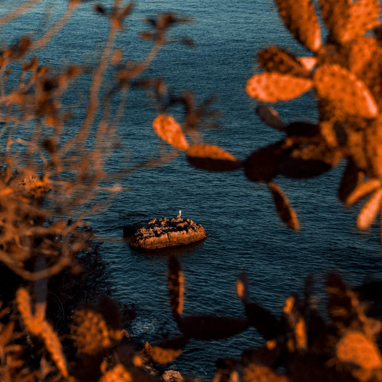 destination